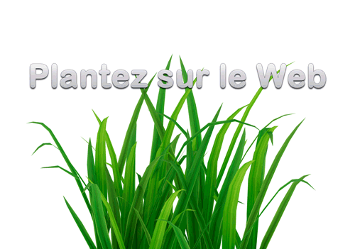be-digital-contenu-web-rich-media-ntic-tic